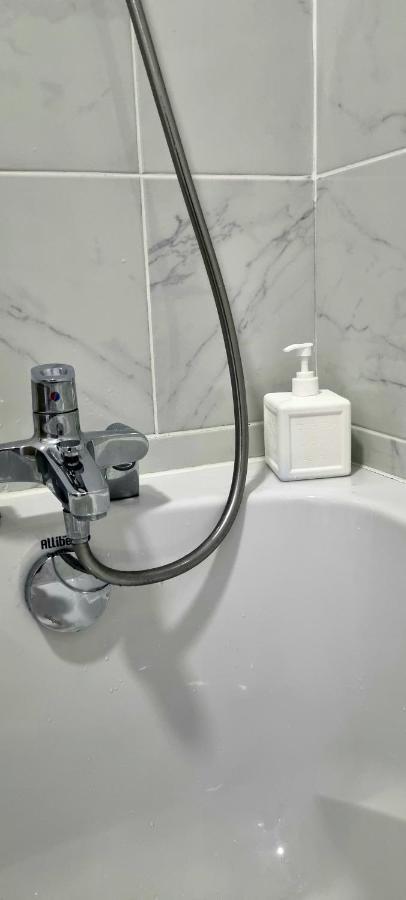 Golden Mont Centre Appartement Pau Dış mekan fotoğraf